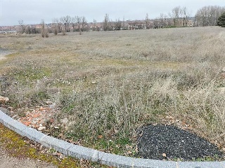 DEL CEREZO 5