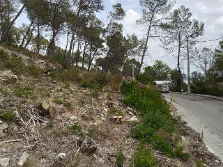 DEL COSMOS. PARCELA 9