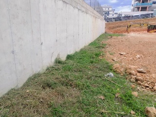 LLOC NOU DEL FENOLLET 7