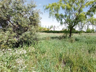 MIRASIERRA VI 5
