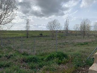 MIRASIERRA VII 12