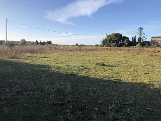 PARAJE LAS PARTIDAS EL PRADO Y MELONERES 2