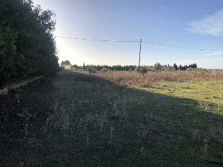 PARAJE LAS PARTIDAS EL PRADO Y MELONERES 3
