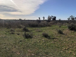 PARAJE LAS PARTIDAS EL PRADO Y MELONERES 4
