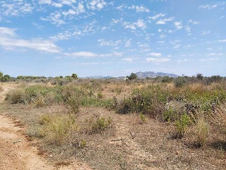 PARAJE LAS PARTIDAS EL PRADO Y MELONERES 7