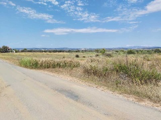 PARAJE LAS PARTIDAS EL PRADO Y MELONERES 9
