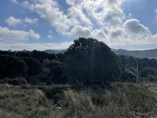VALLDORITG 3