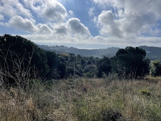 VALLDORITG 4