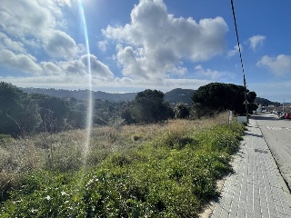 VALLDORITG 7