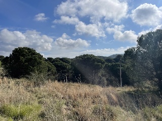 VALLDORITG 9