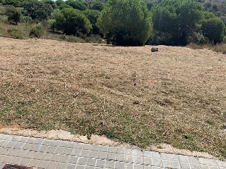 VALLDORITG 11