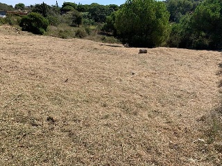 VALLDORITG 12