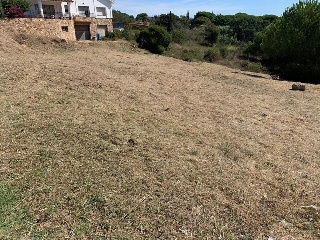 VALLDORITG 13