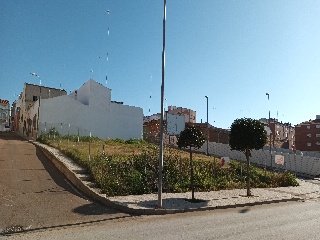 JULIAN CAMPOMANES 2