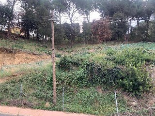 CAN MASSUET 2