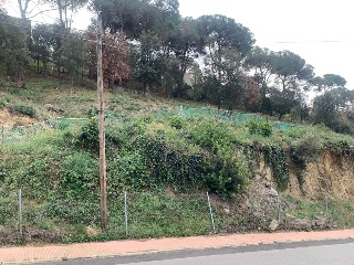 CAN MASSUET 9