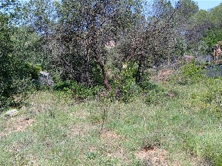 ESTACIO DE VACARISSES 2