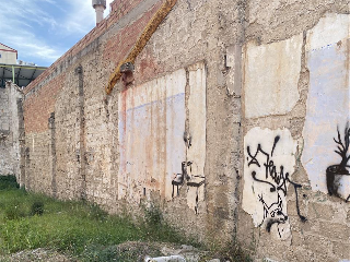 CERVANTES 5