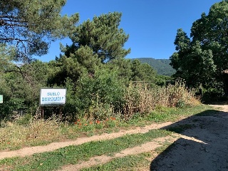 Pisos banco Adrada (La)