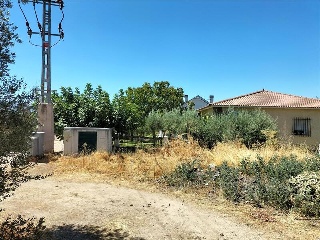 NAVALPINO 2