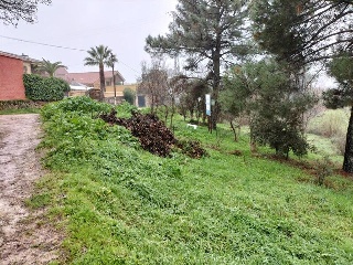 NAVALPINO 7