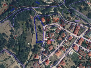 NAVALPINO 14