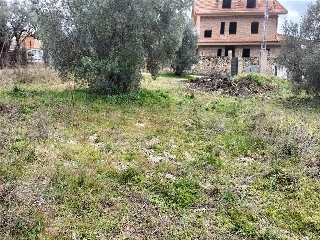 SITIO NAVALPINO 4