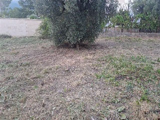 SITIO NAVALPINO 5