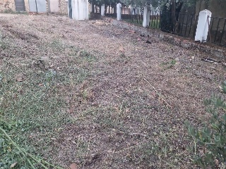 SITIO NAVALPINO 6