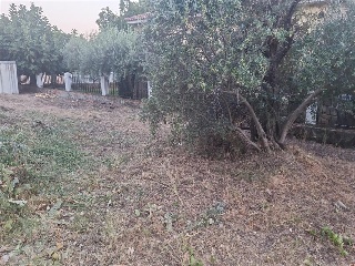 SITIO NAVALPINO 7