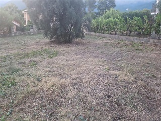 SITIO NAVALPINO 9
