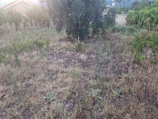 SITIO NAVALPINO 11