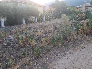 SITIO NAVALPINO 14