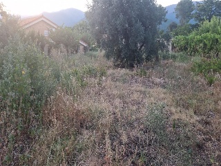 SITIO NAVALPINO 15