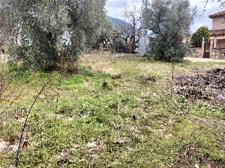 SITIO NAVALPINO 20