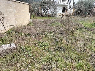 SITIO NAVALPINO 22