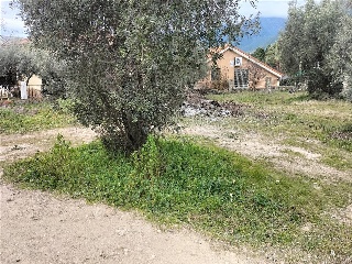 SITIO NAVALPINO 24