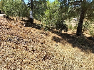 SITIO NAVALPINO 25