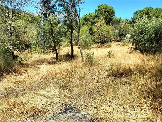 SITIO NAVALPINO 26