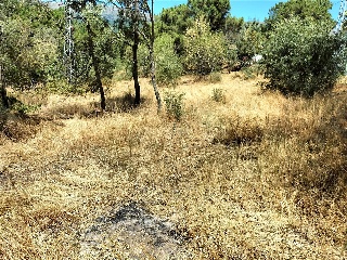 SITIO NAVALPINO 27