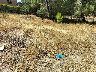SITIO NAVALPINO 28