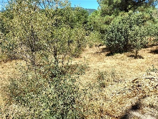 SITIO NAVALPINO 29