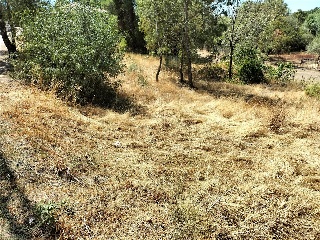 SITIO NAVALPINO 30
