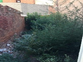 MANANTIAL 5