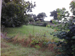 CIUDAD JARDIN-COLLOTO, Polígono 17 Parcela 6