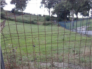 CIUDAD JARDIN-COLLOTO, Polígono 17 Parcela 9