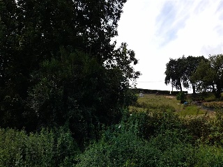CIUDAD JARDIN-COLLOTO, Polígono 17 Parcela 12