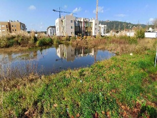 LES ESCOLES DELS ESTANYS. Parcela 3
