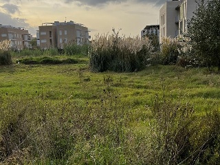 LES ESCOLES DELS ESTANYS. Parcela 9