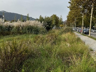 LES ESCOLES DELS ESTANYS. Parcela 10